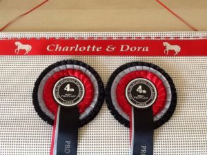 rosette holder, rosette display, rosette frame , ideas for rosettes