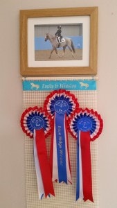 Horse Rosette Holder, Photo Frame Rosette Holders, rosette holder, Horse riding rosettes