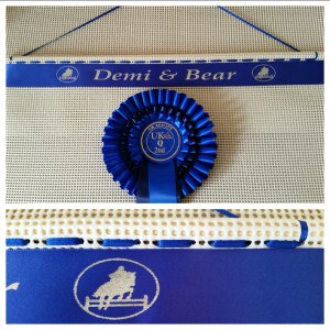 Rosette Holders, horse and rider rosette holder, pony show rosette display ideas, rosette display , rosette display hanger