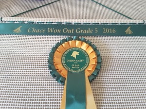 Rosette Holders, Rosette Holder , Ideas for dog show ribbons , 