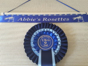 jumping dog rosette display 