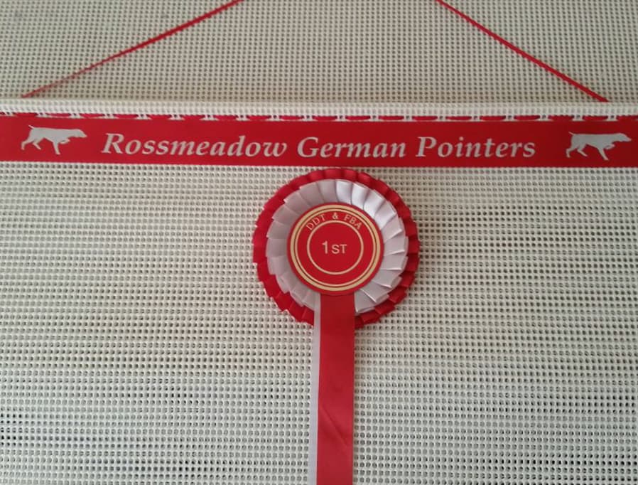 rosette holder, dog show rosette holder, rosette holders