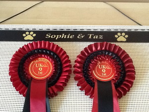 dog competitions, competition rosettes