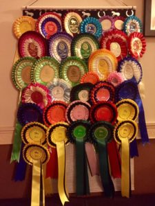ideas for displaying rosettes, rosette display ideas 
