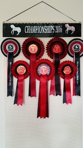 winning rosettes, rosette holder, ideas for displaying rosettes, rosette display, horse show ribbons, display rosettes